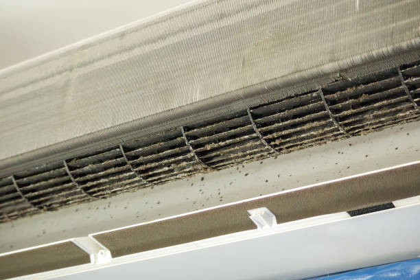 Air Duct Mold Removal in Hagerman, ID